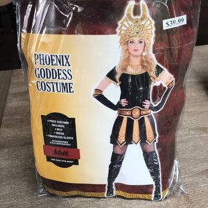 Phoenix Goddess Costume